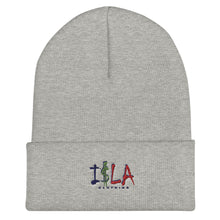 Load image into Gallery viewer, Cuffed Beanie