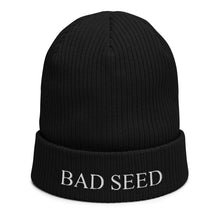 Load image into Gallery viewer, Organic ribbed beanie