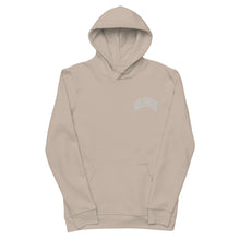 Load image into Gallery viewer, HollyHood hoodie