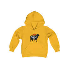 Load image into Gallery viewer, Youth Black Sheep Hoodie Sweatshirt
