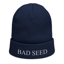 Load image into Gallery viewer, Organic ribbed beanie
